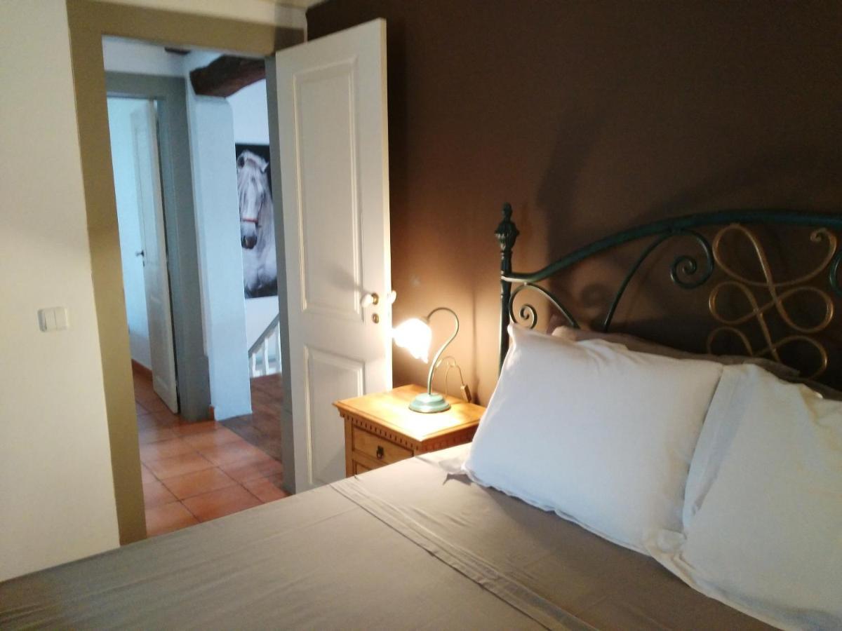Quinta Do Outeiro Bed and Breakfast Vila Nova de Poiares Εξωτερικό φωτογραφία