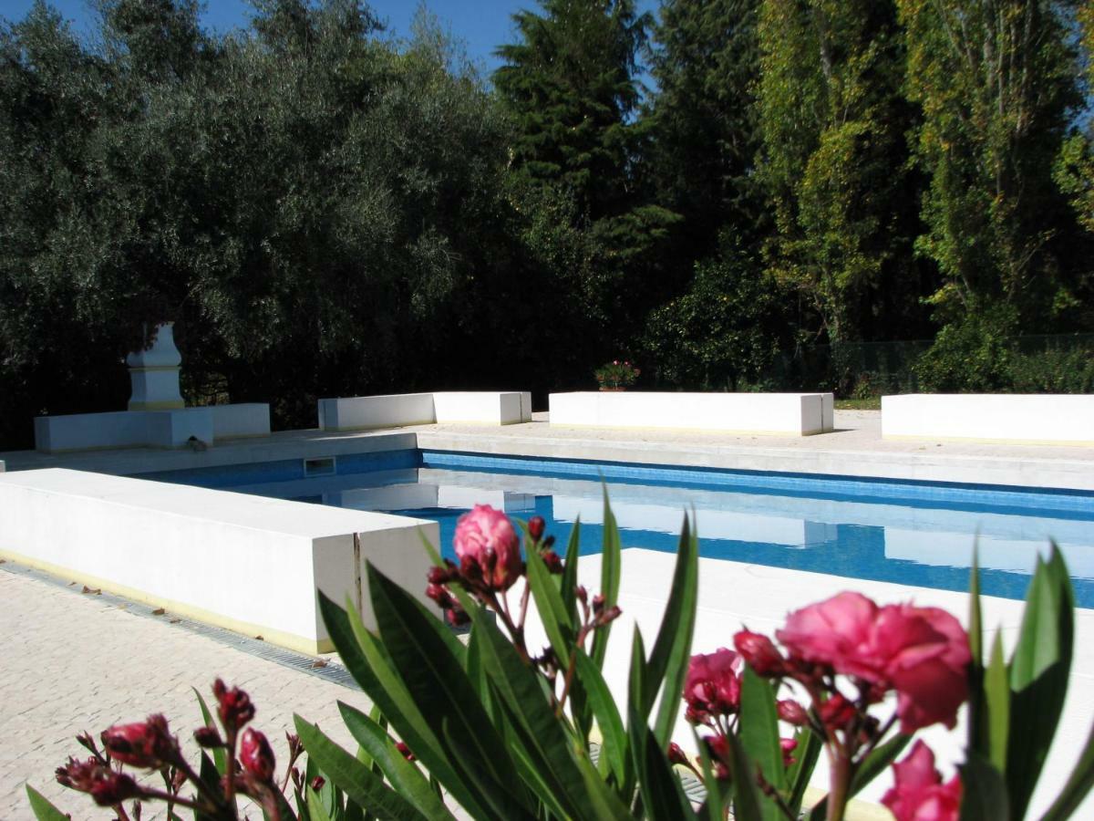 Quinta Do Outeiro Bed and Breakfast Vila Nova de Poiares Εξωτερικό φωτογραφία