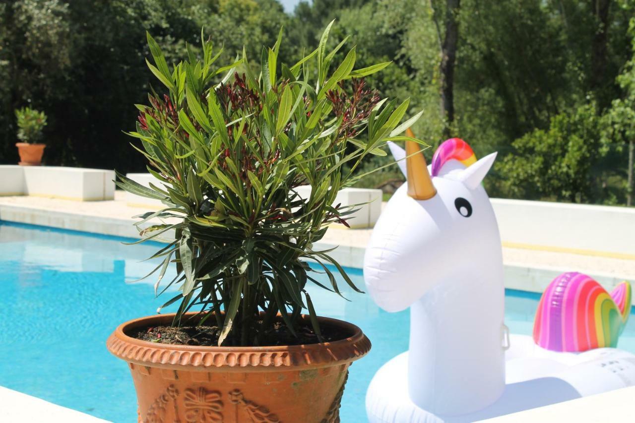 Quinta Do Outeiro Bed and Breakfast Vila Nova de Poiares Εξωτερικό φωτογραφία