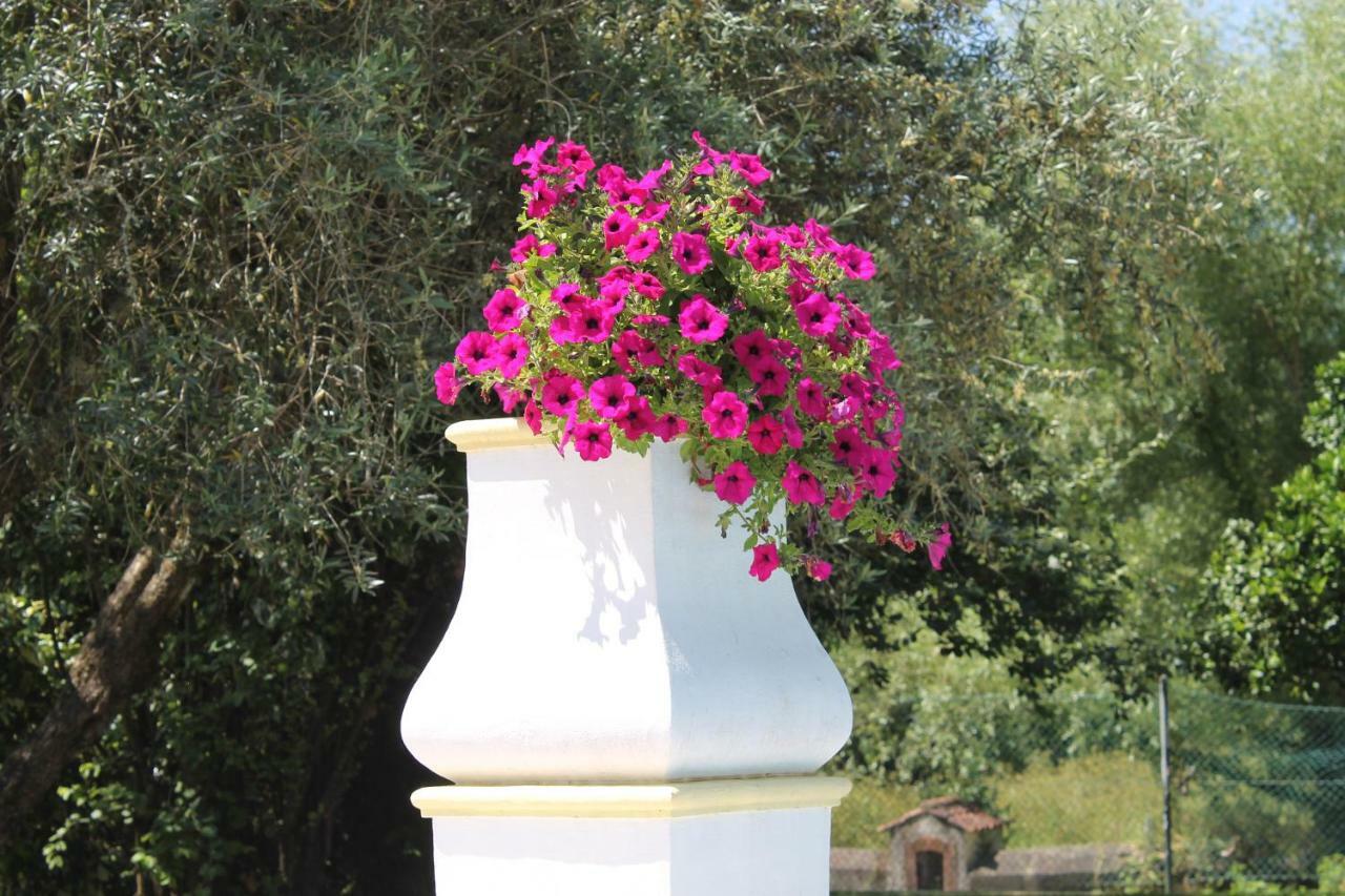 Quinta Do Outeiro Bed and Breakfast Vila Nova de Poiares Εξωτερικό φωτογραφία