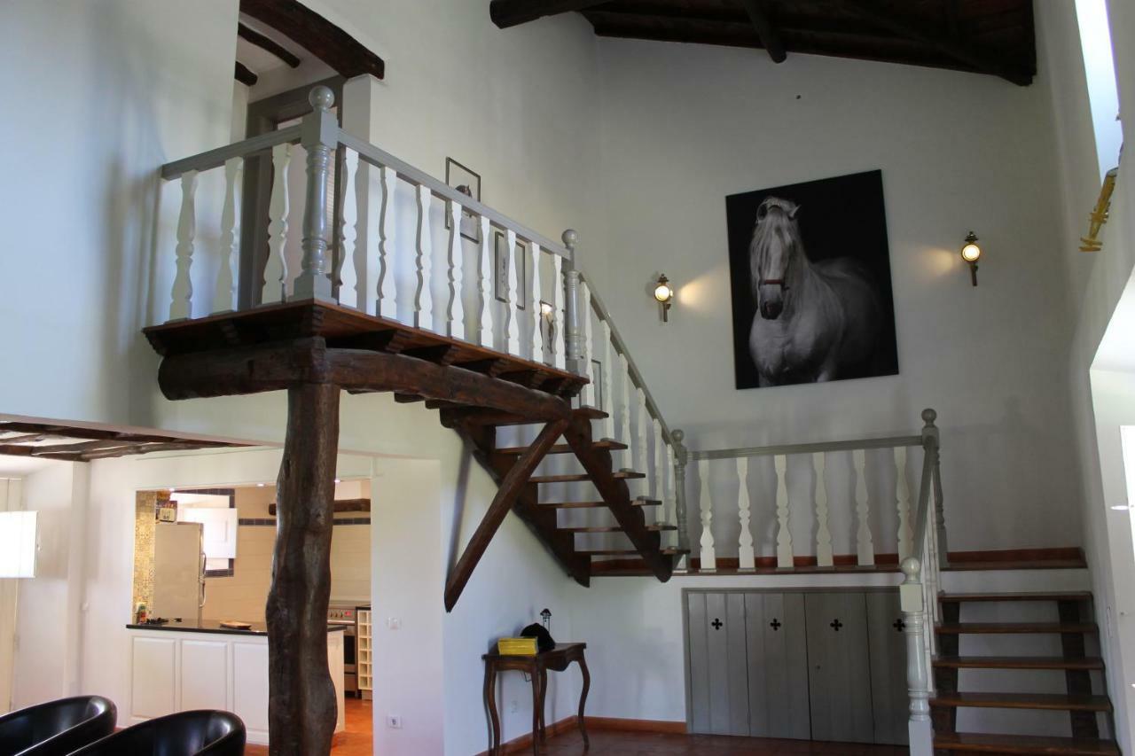 Quinta Do Outeiro Bed and Breakfast Vila Nova de Poiares Εξωτερικό φωτογραφία